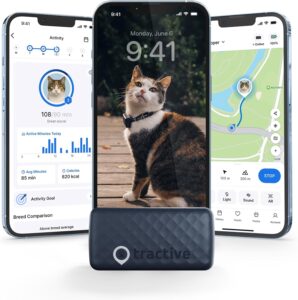 cat gps tracker