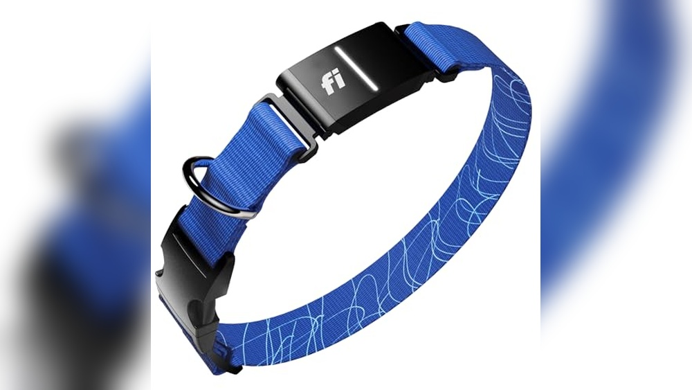Fi New Series 3+ Smart Dog Tracker Collar Review – Reliable GPS & Health Monitor