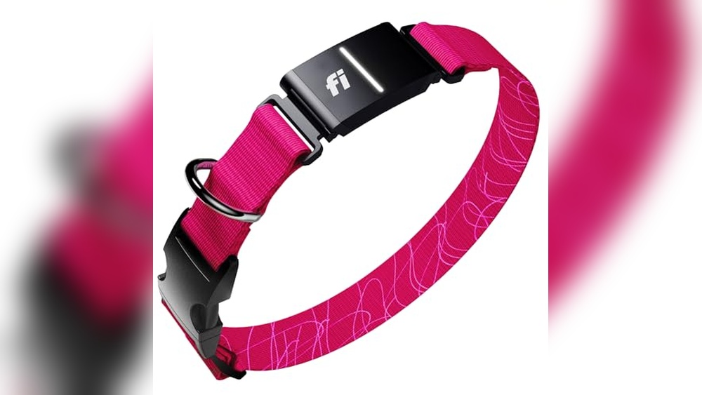 Fi New Series 3+ Smart Dog Tracker Collar Review: Reliable GPS & Health Monitoring